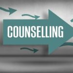 Career counselling session