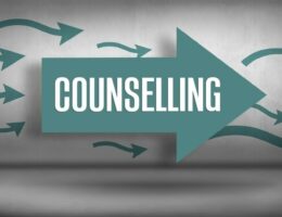 Career counselling session