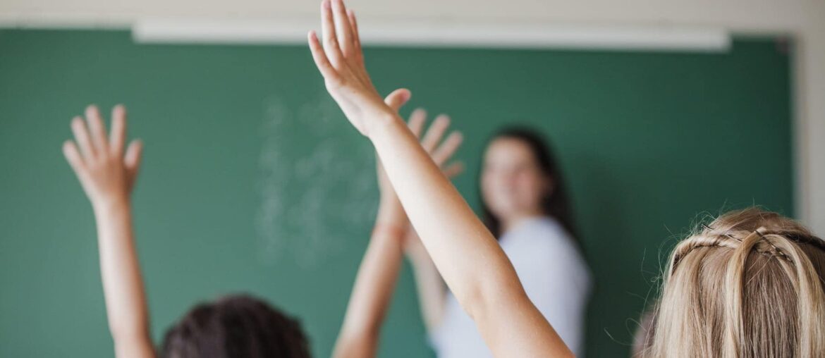 school counselor