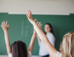 school counselor