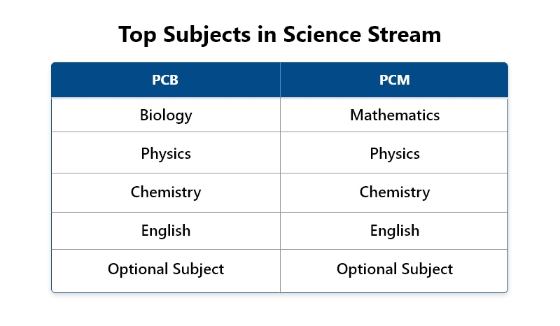 Stream Selection After 10th: 9 Tips to Guide Students