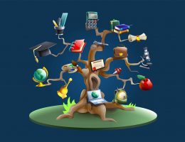 Importance of Career Counselling in the World Today