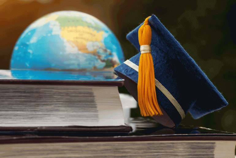 Global career counsellor guiding a student