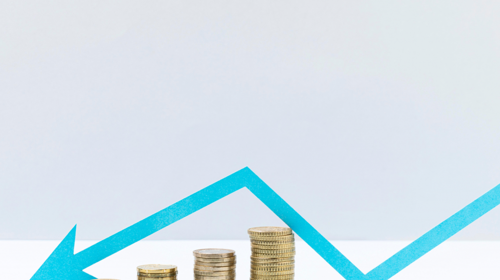 Career Options in Economics