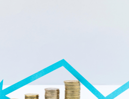 Career Options in Economics